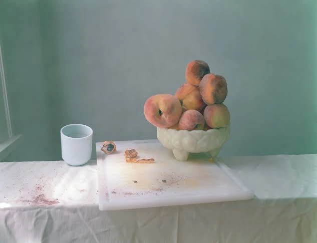 Plate 02 · still life detail