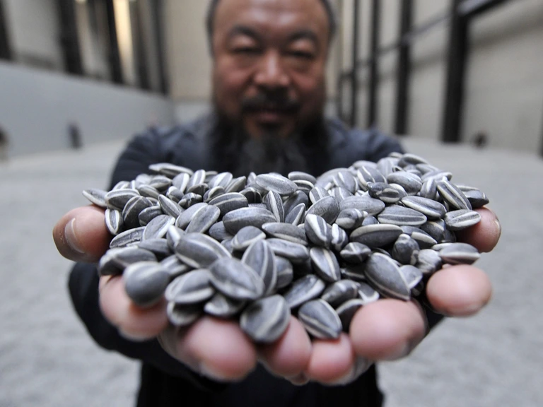 Sunflower Seeds Detail 3